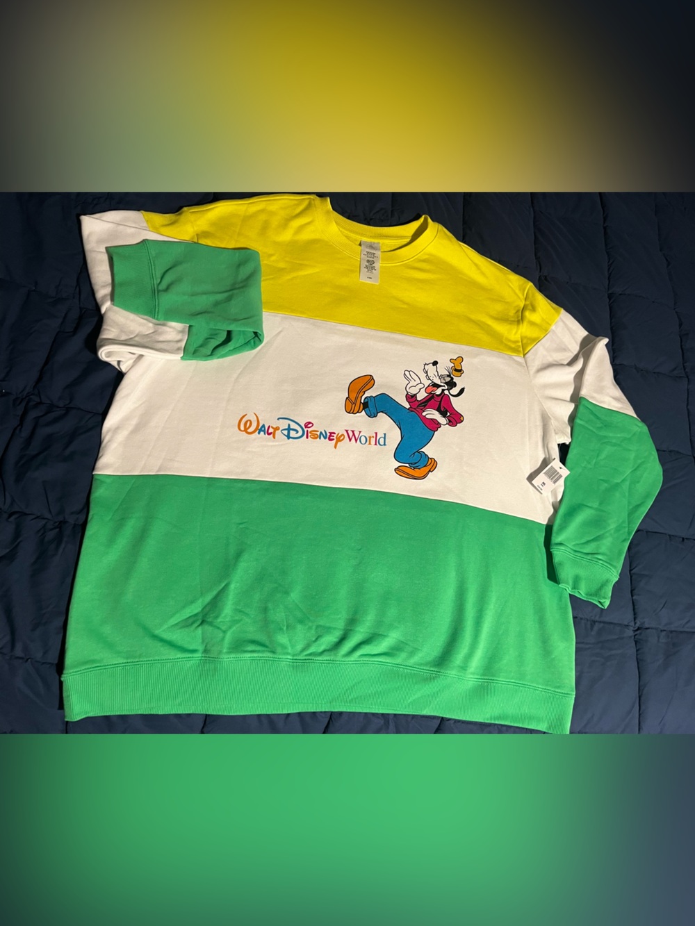 Walt Disney World Colorblock Goofy Sweatshirt - Green/Yellow/White